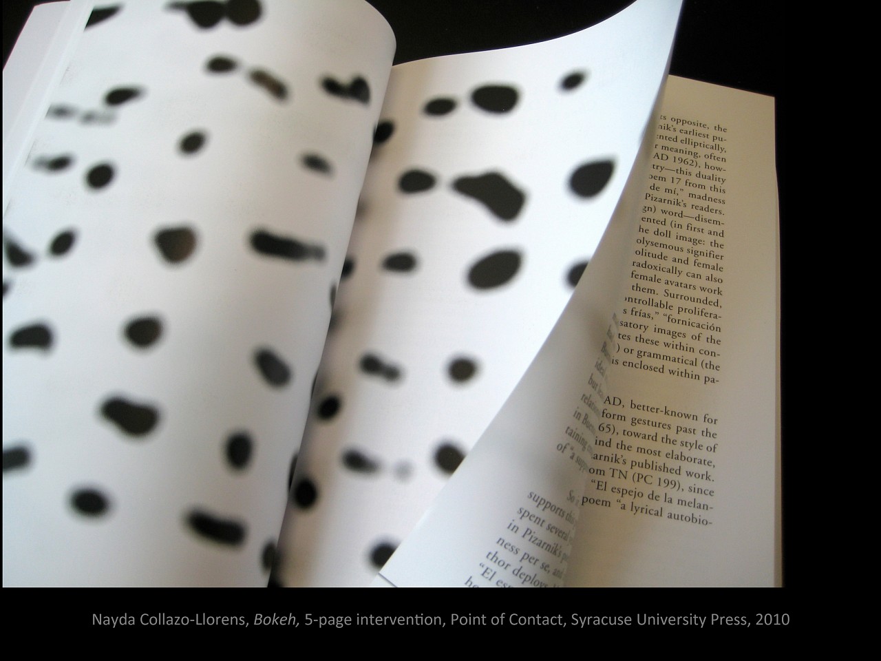 Nayda Collazo-Llorens
Bokeh, 2010
five pages, 9 3/4 x 7 in.