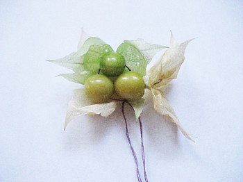 Leah Gauthier - Ground Cherries