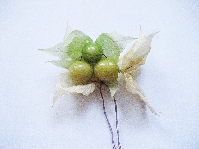 Leah Gauthier
Ground Cherries, 2011
ground cherries grown by the artist and embroidery thread, 3" x variable
