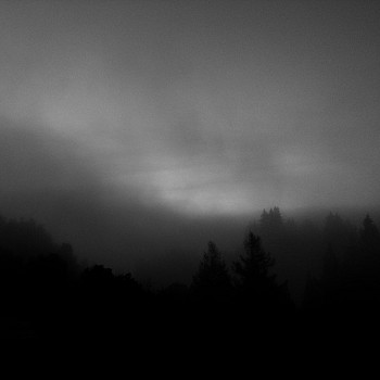 Miya Ando -&nbsp;Fog Hwy 280