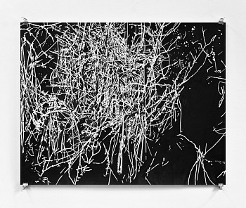 Margaret Inga Wiatrowski -&nbsp;Aberrations: No.17