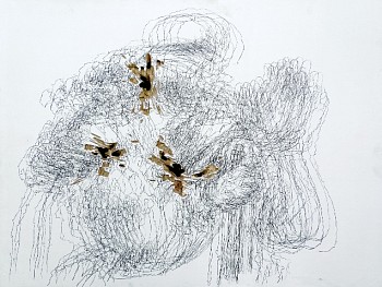 Amelie Chabannes -&nbsp;