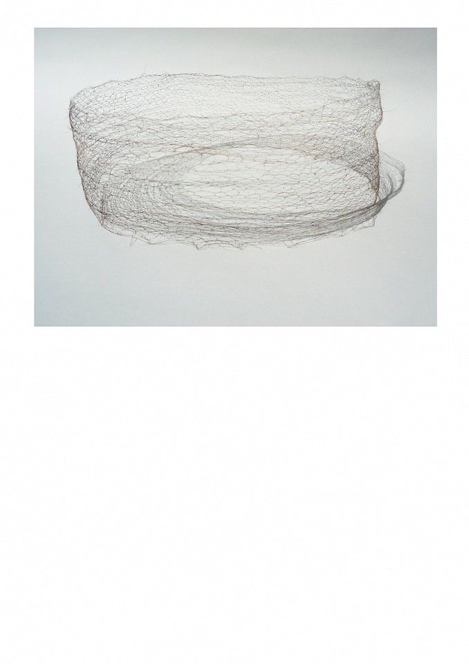 Ruth Baumann
Wanting to be Donated, 2011
hair, knotted and crocheted, 10 x 20 cm