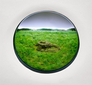 Patrick Jacobs - Stump with Red Banded Brackets and English Daisies