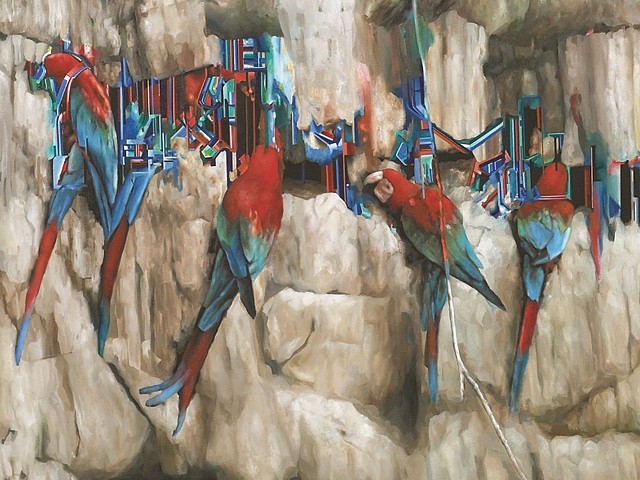 Marti Cormand
Macaws (detail), 2006
oil on canvas, 50 x 70 in.