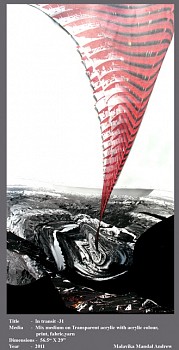 Malavika Mandal Andrew -&nbsp;In Transit - 31