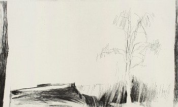 Isabel Cauas - De la Serie Impulsos Vertiginosos II de VII