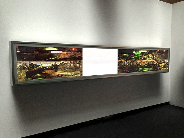 Jaime de la Jara
Diorama II, 2013
light box and durations transparency, 240 x 45 cm