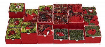 Steven and William Ladd - Volcano