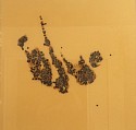 Alexander Viscio, Blue
1999, blueberries, pigment, shellac laminated to plate glass