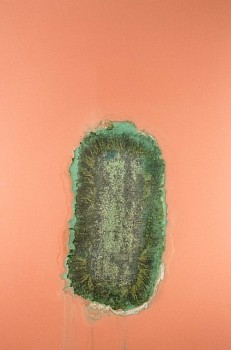 Alexander Viscio -&nbsp;Miracle Grow