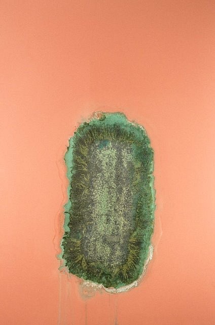 Alexander Viscio
Miracle Grow, 1999
dustmop, miracle grow, pigment and shellac laminated to plate glass, 60 x 40 in.