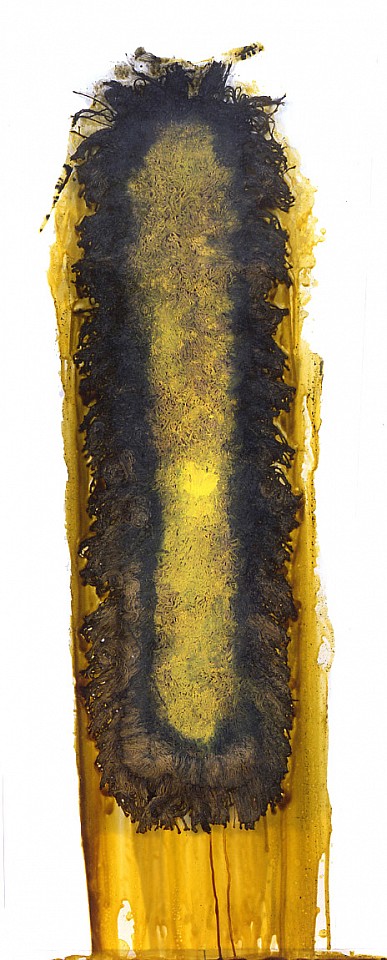 Alexander Viscio
Gag, 1998
dust mop, shellac, pigment laminated on glass, 58 x 20 in.