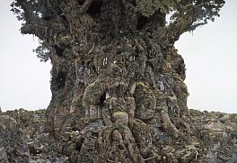 Manabu Ikeda Biography