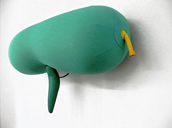 Nancy Davidson - Dudette