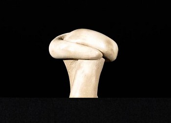 Charla Puryear - Clasp