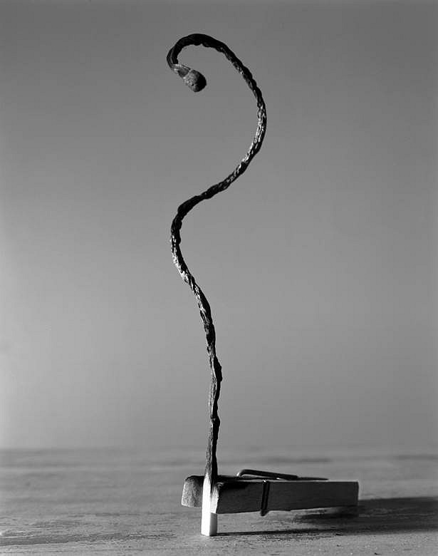 Caleb Charland
Burned Match (series: Demonstrations), 2008
Gelatin Silver Print, 24 x 20 in.