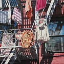 Lynette Cook, Clothes Lines
2013, acrylic on canvas