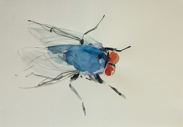 Michelle Charles
Blue Fly, 2011
paint on paper, 11 x 14 in.