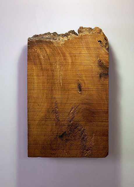 Bhuvanesh Gowda
Vigin & Volatile, 2011
wood, 19 x 12 x 3 in.