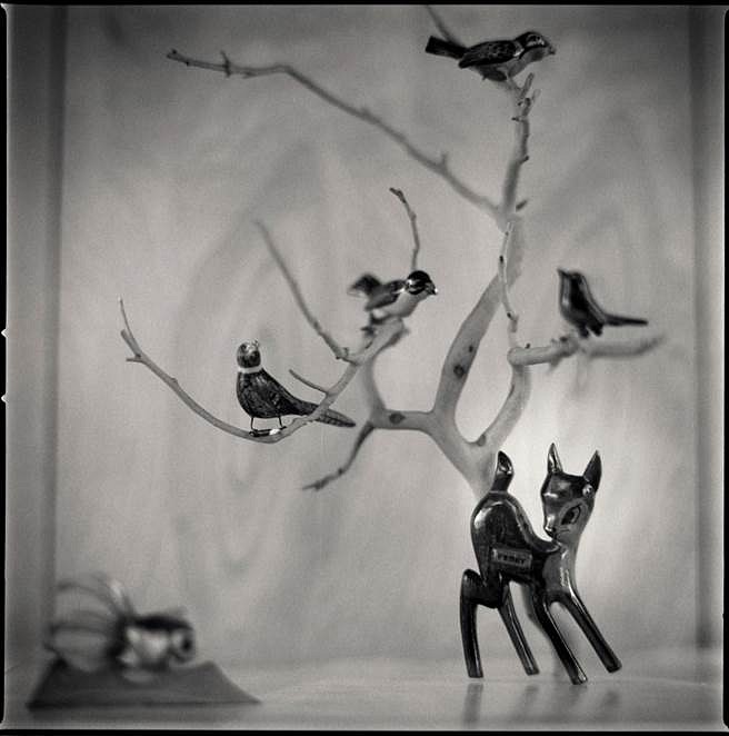 Hiroshi Watanabe
Deer carved by Tokushige, Heart Mountain, Wyoming, 2009
Toned silver gelatin print, 10 x 10 in.