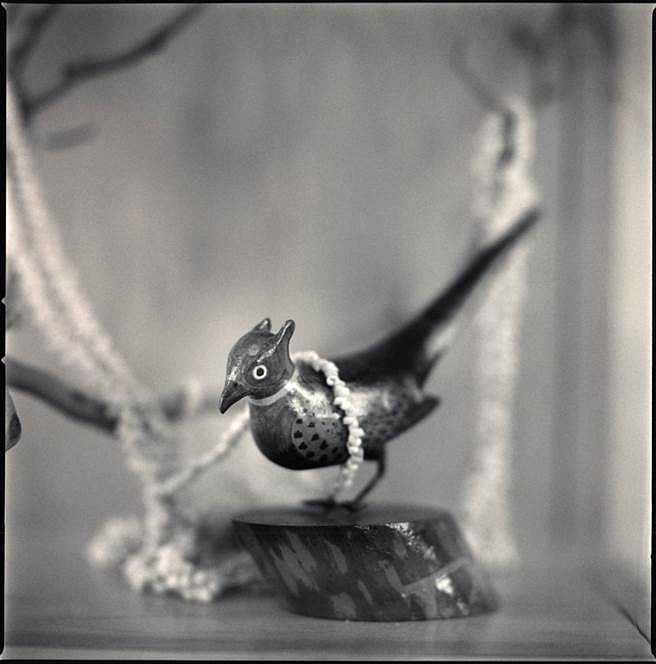 Hiroshi Watanabe
Carved Bird Dressed with Shell Beads, Tule Lake, California, 2009
Toned silver gelatin print, 10 x 10 in.