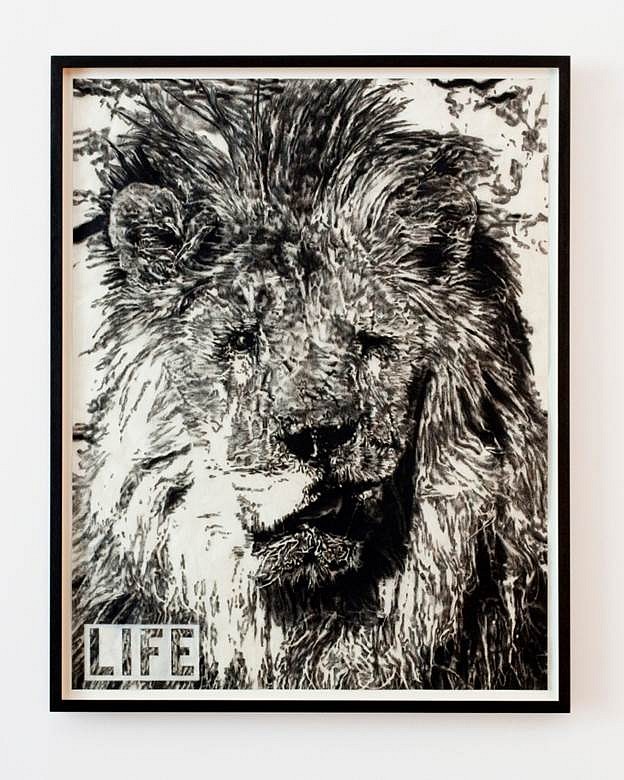 Adam Helms
Untitled (LIFE: Marjan, Blind Lion), 2011
charcoal and pastel on rice paper, 36 x 28 in.