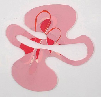 Ron Johnson -&nbsp;Who I am