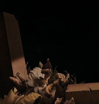 G. Daniel Massad - Breach