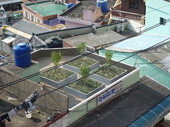 Mary Ellen Carroll -&nbsp;No. 18 - Sculpture Garden Installation