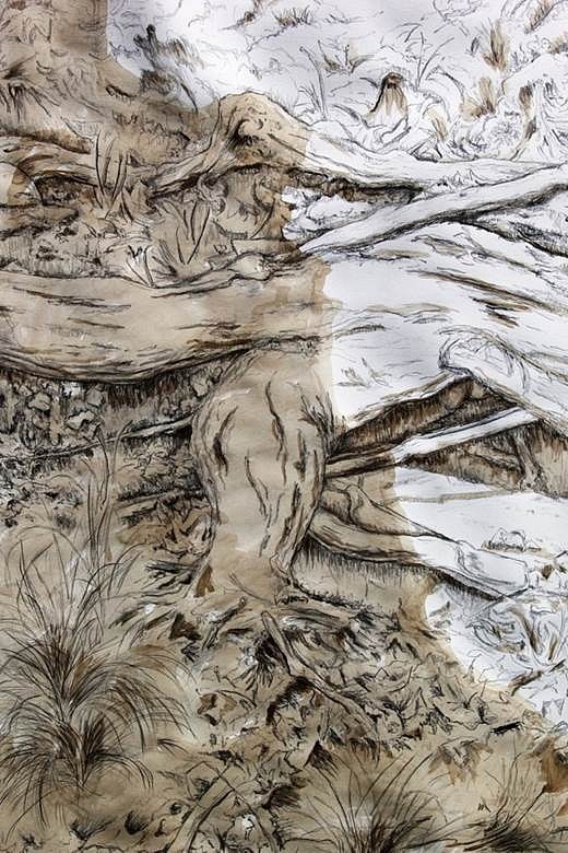 Lawrence Baker
Continuum III, 2013
graphite plus acrylic wash on paper, 40 x 60 in.