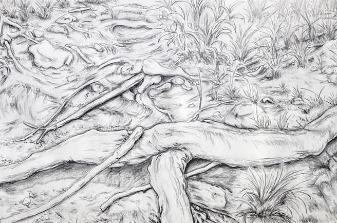 Lawrence Baker
Loving You II, 2016
graphite on paper, 40 x 60 in.