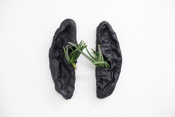 Deborah Anzinger -&nbsp;Black, shriveled and full of presence
