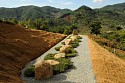Chris Drury, Jiri Mountain Tea Time
2016, granite boulders, granite gravel, earth, tea bushes