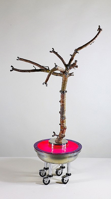 Christian Schiess
Flora Paraplegia #6, 2016
welded metal, apple wood, acrylic plastic, paint, stainless steel hardware, casater wheels, and neon, 50 x 28 x 23 in.