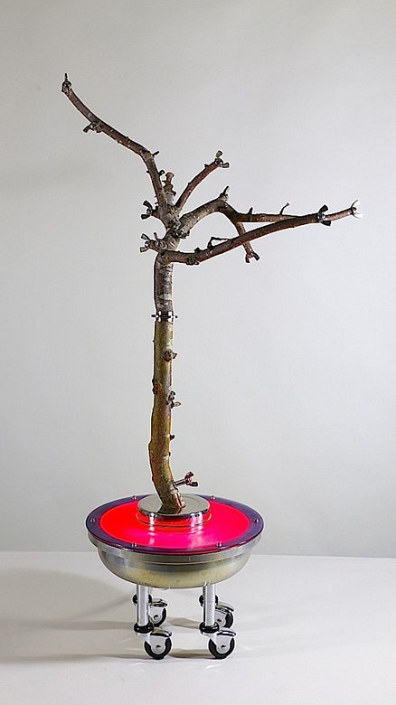 Christian Schiess
Flora Paraplegia #6, 2016
welded metal, apple wood, acrylic plastic, paint, stainless steel hardware, casater wheels, and neon, 50 x 28 x 23 in.