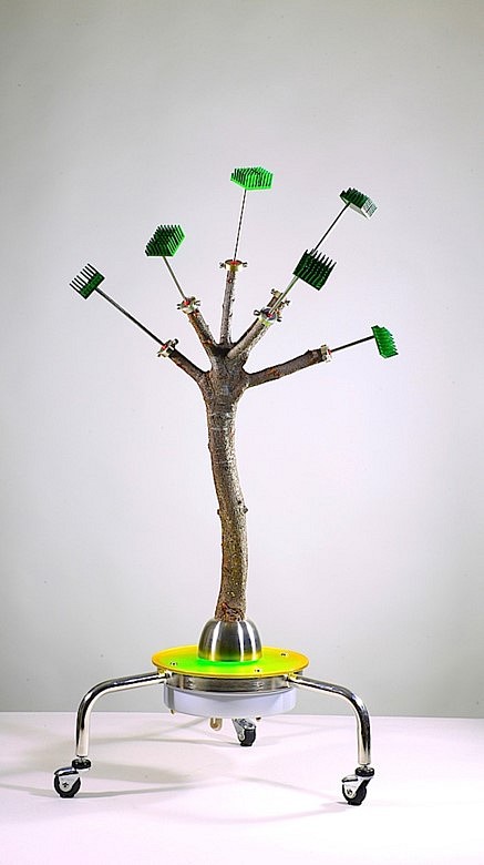 Christian Schiess
Flora Paraplegia #4, 2015
welded metal, plum wood, acrylic plastic, paint, stainless steel hardware, casater wheels, and neon, 45 x 23 x 23 in.