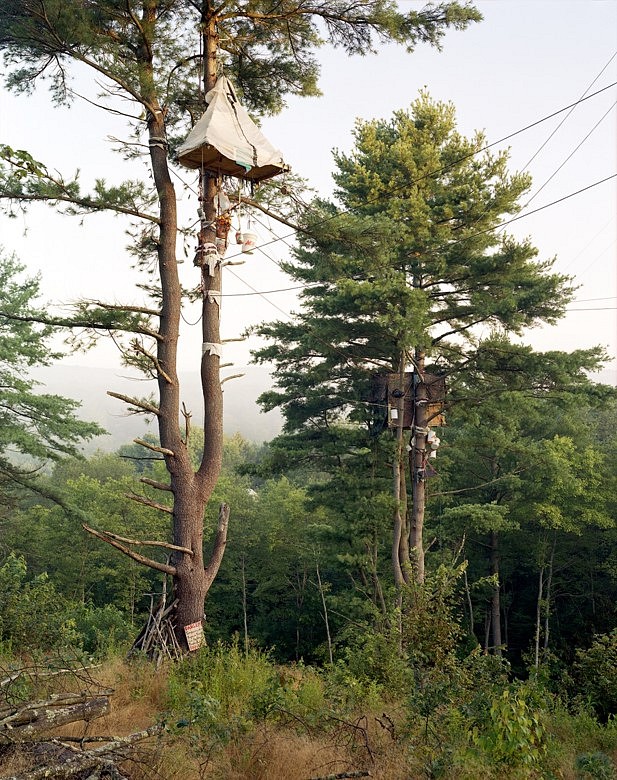 Mitch Epstein
Tree-Sits, Camp White Pine, Huntingdon County, Pennsylvania, 2017
Chromogenic print, 90 x 70 in.