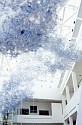 Esteban Álvarez, One Year of Air
2002, empty mineral water bottles, interconnected, with four hanging plastic tubes and four plastic masks