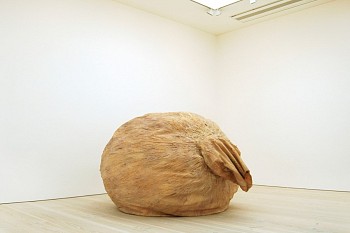 Juliana Cerqueira Leite - Oh