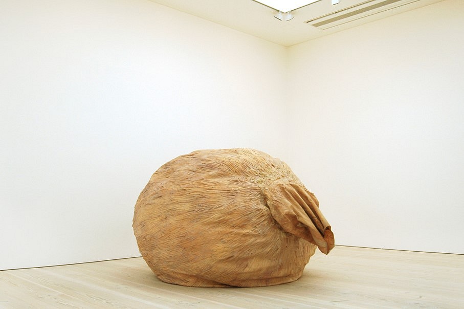 Juliana Cerqueira Leite
Oh, 2010
Latex rubber, muslin, eco-packing materials, 72 x 72 x 84 in.