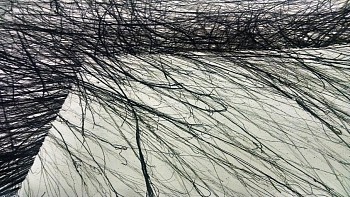 Vera Martins -&nbsp;s / title