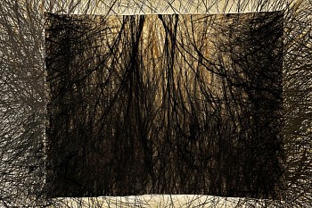 Vera Martins -&nbsp;s / title