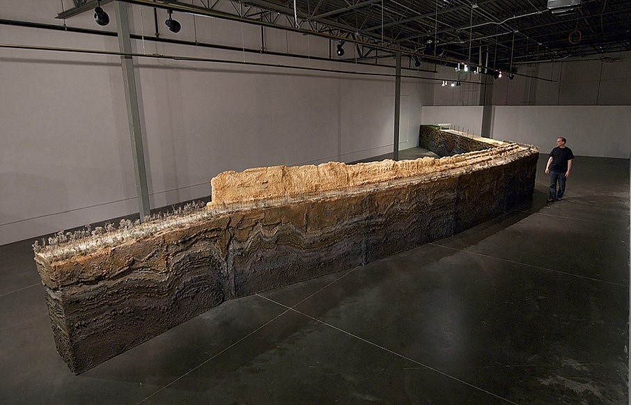 Blane De St. Croix
Broken Landscape III, 2013
branches, paint, plastic, wood, glue, acrylic paint, natural materials, reconstructed section of the Mexico/US border exhibited in San Antonio, Texas, 80 ft x 7 ft x 2.5 ft