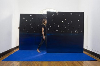 Carolina Fusilier -&nbsp;From the series New Kind of Sun