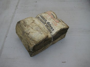 Richard Hughes - Wasted Youth