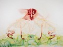 Alejandra Alarcón, The Portal, The Book of Blood
2018, watercolor on paper