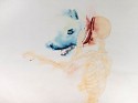 Alejandra Alarcón, Persefone,'s Heart The Book of Blood
2018, watercolor on paper