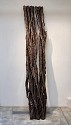 Munson Hunt, Remnant, Tall Bark
2018, cast bronze