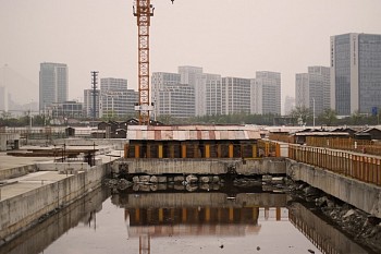 Florencia Levy - From the series Fossil Place “All the fish died, including the animals that drank water from the river”